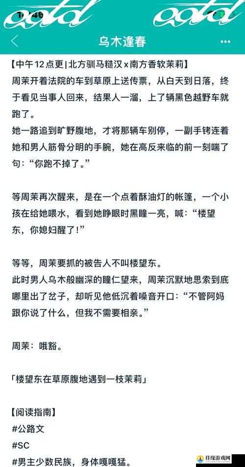 糙汉 1NH 之独特魅力与精彩故事展现